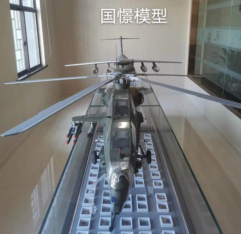 灵丘县飞机模型